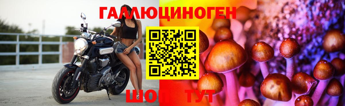 Псилоцибиновые грибы Psilocybine cubensis  Вход с VPN  где купить   Малоярославец 