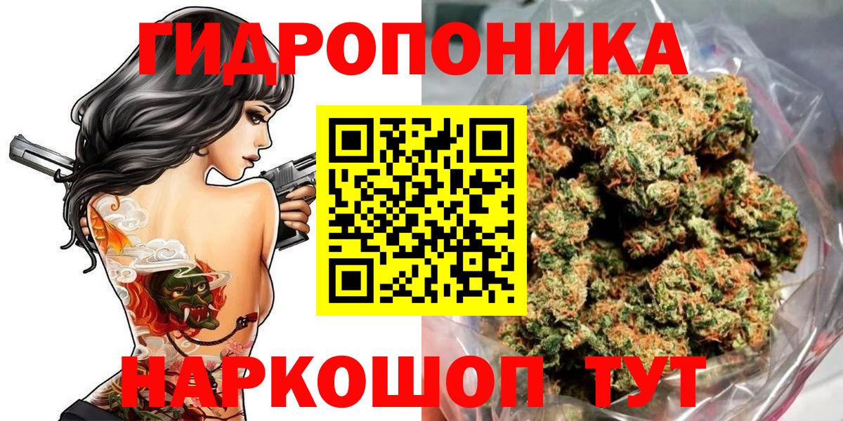 Каннабис сатива Малоярославец